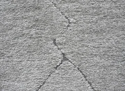 Ragolle Tapijt Madagaskar 240x340cm - polyestervezel - lichtgrijs- Tapijten|Tapijten