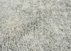 Ragolle Tapijt Medusa 120x170cm - polyestervezel - multicolor- Tapijten|Tapijten