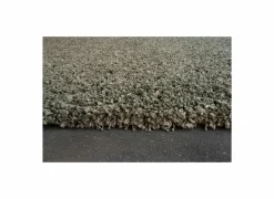 Ragolle Tapijten|Tapijten|Tapijt Twister 240x300cm - polypropyleen - groen