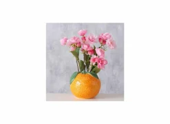 Vaas Appelsien H12,8cm - keramiek - oranje- Vazen & Bloempotten|Vazen & Bloempotten